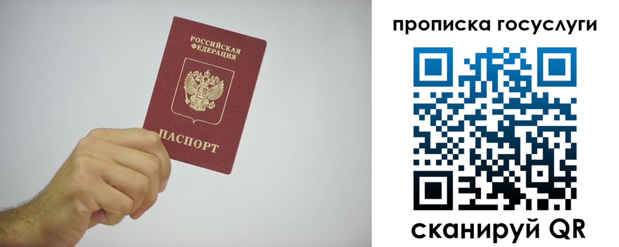 прописка законно в Апатитах